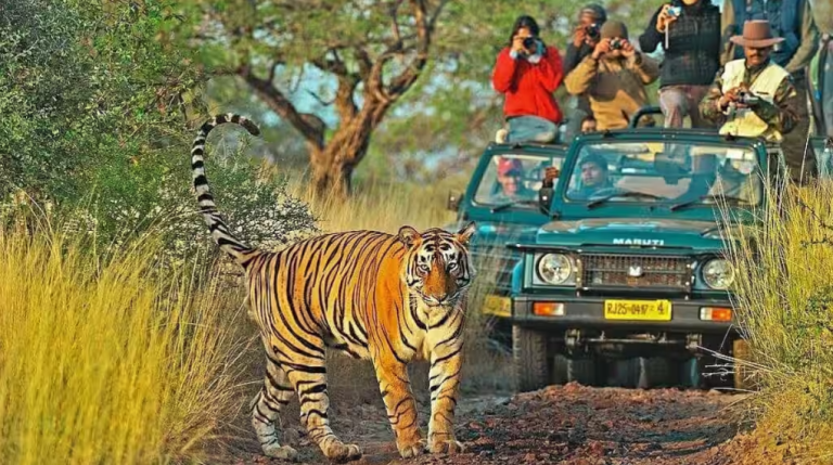 7 India’s Must-Visit Adventure Destinations for Thrill-Seekers